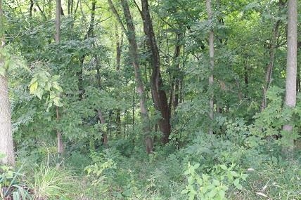 8421 Walnut Ridge Rd, Lafayette, IN 47909 photo 7