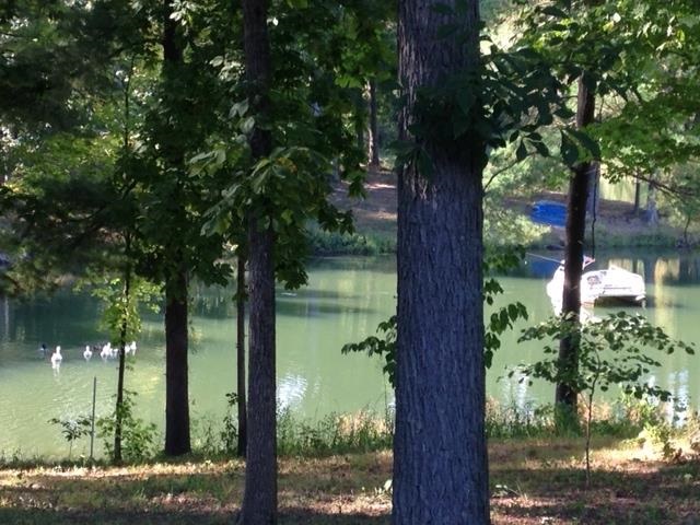 8301 Six School Rd, Evansville, IN 47720 photo 4