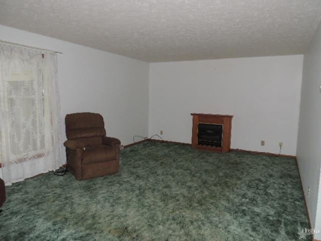 304 N Madison St, Columbia City, IN 46725 photo 14