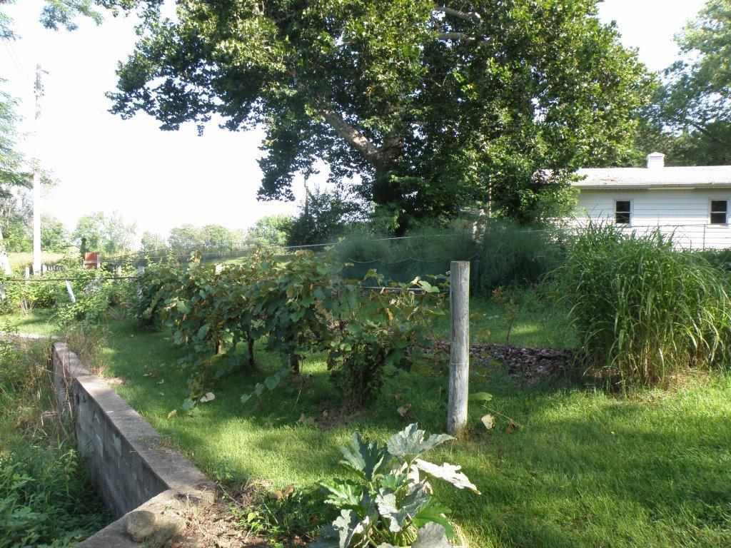 66069 State Road 15, Goshen, IN 46526 photo 25