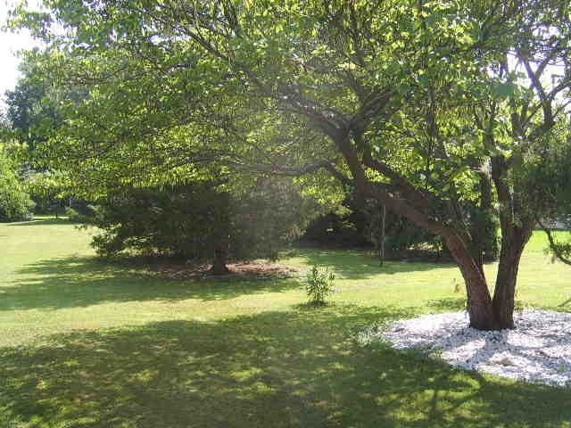819 S Meridian St, Portland, IN 47371 photo 24