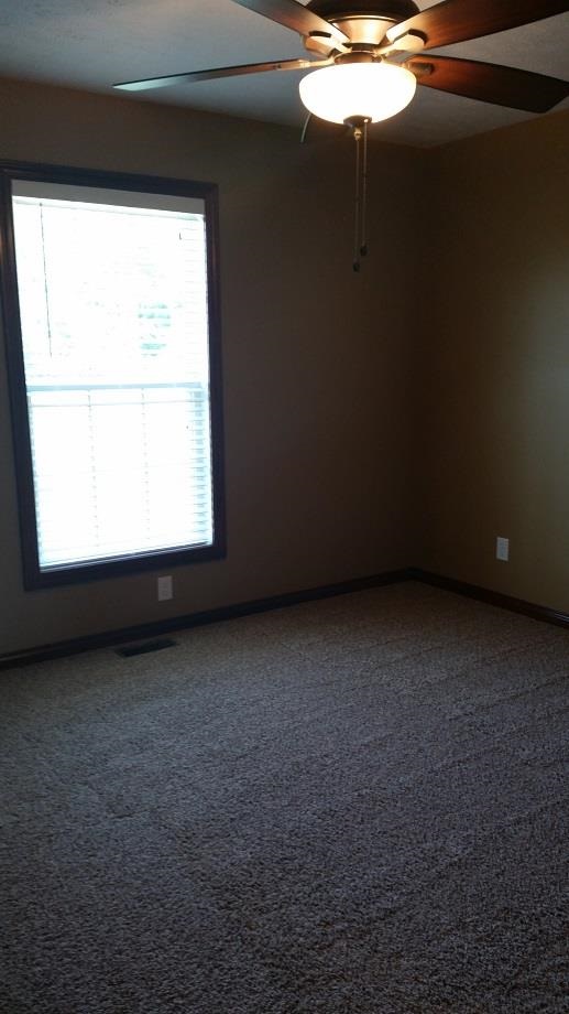 10410 Wolfinger Rd, Mount Vernon, IN 47620 photo 11