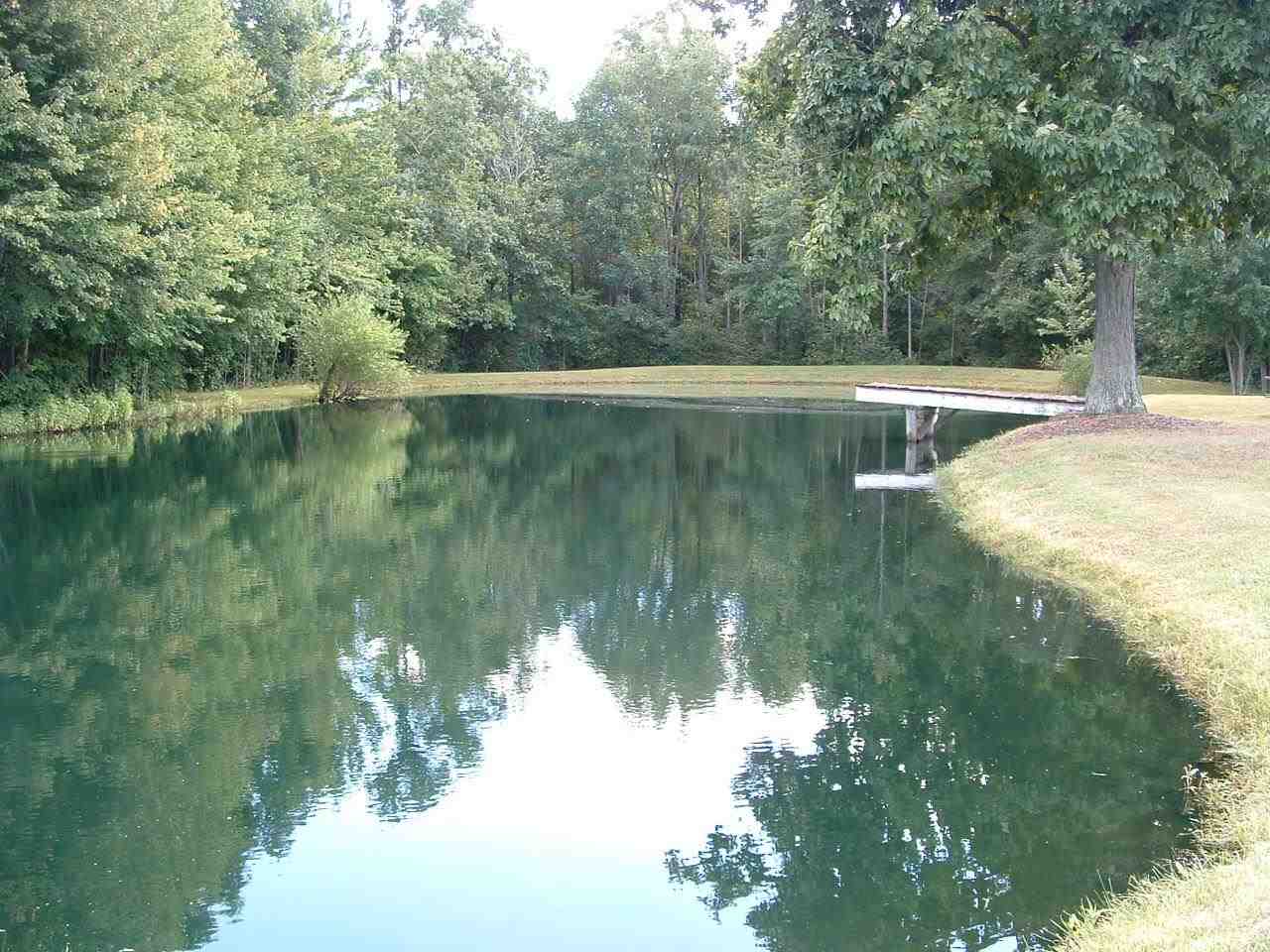 9223 W Hedrick Rd, Gosport, IN 47433 photo 2