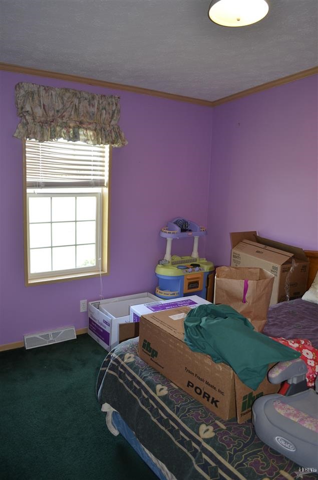 2580 W Wolf Lake Rd, Albion, IN 46701 photo 11
