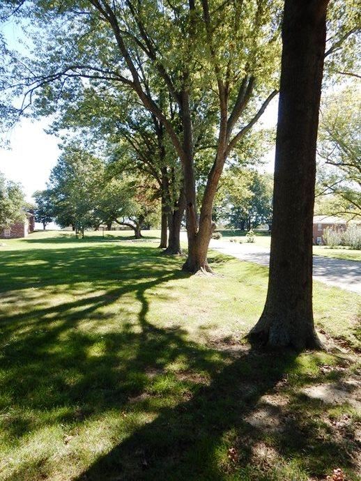 11225 Karendale Ct, Evansville, IN 47720 photo 3
