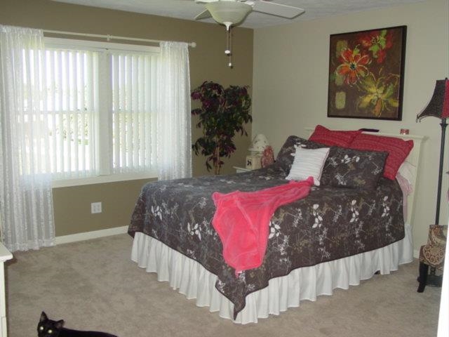 816 Lydia Dr, Warsaw, IN 46582 photo 24