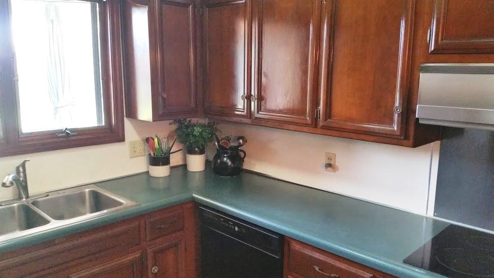 3605 Burrwood Ter, Fort Wayne, IN 46815 photo 4
