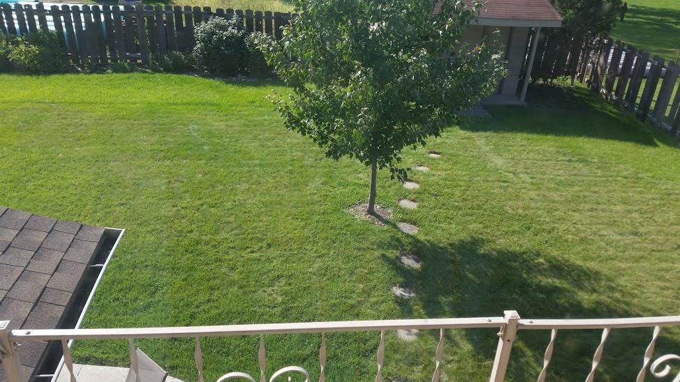 3605 Burrwood Ter, Fort Wayne, IN 46815 photo 19