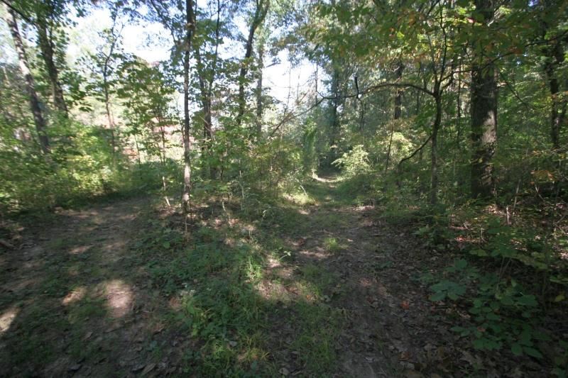 6443 Bledsoe Ln, Loogootee, IN 47553 photo 9