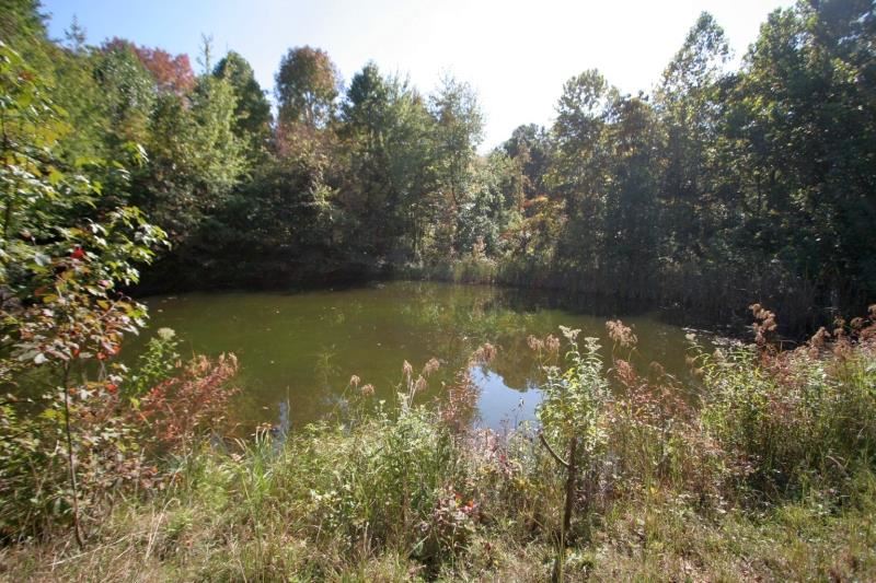 6443 Bledsoe Ln, Loogootee, IN 47553 photo 18