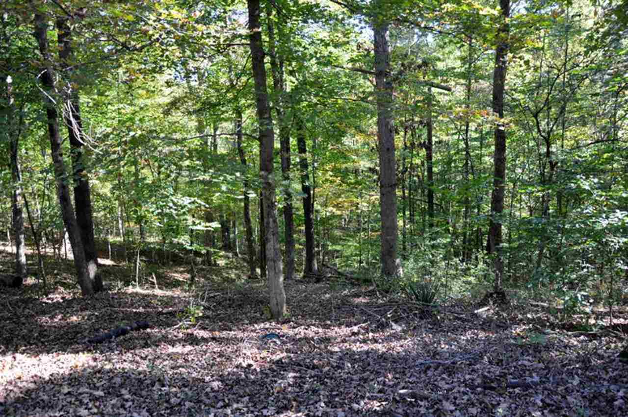 3902 E Stipp Rd, Bloomington, IN 47401 photo 9