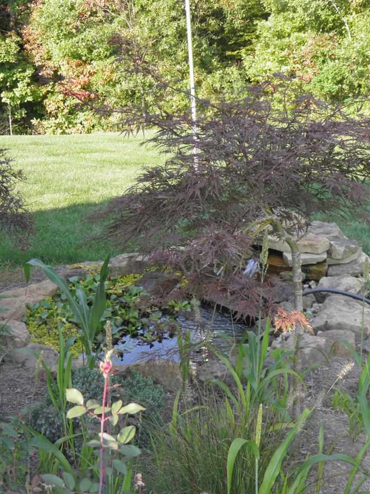 5556 N Andrea Dr, Bloomington, IN 47404 photo 17
