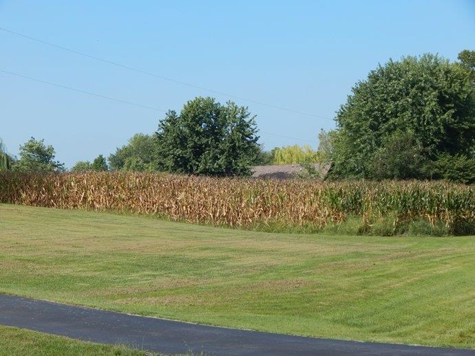10825 Highway 66, Wadesville, IN 47638 photo 6