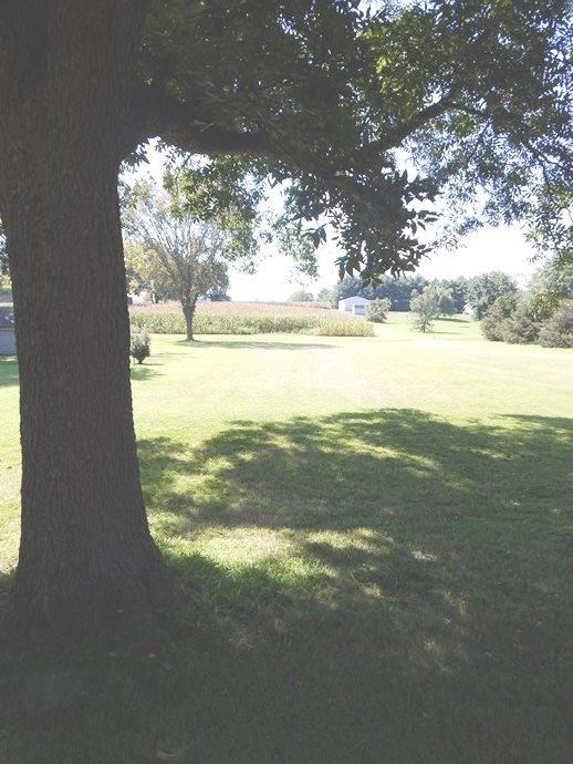10825 Highway 66, Wadesville, IN 47638 photo 15