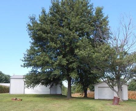 10825 Highway 66, Wadesville, IN 47638 photo 2