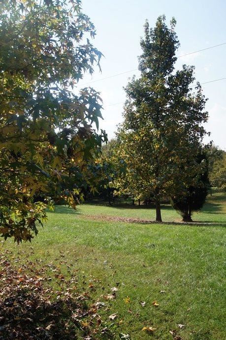 13900 Browning Rd, Evansville, IN 47725 photo 22