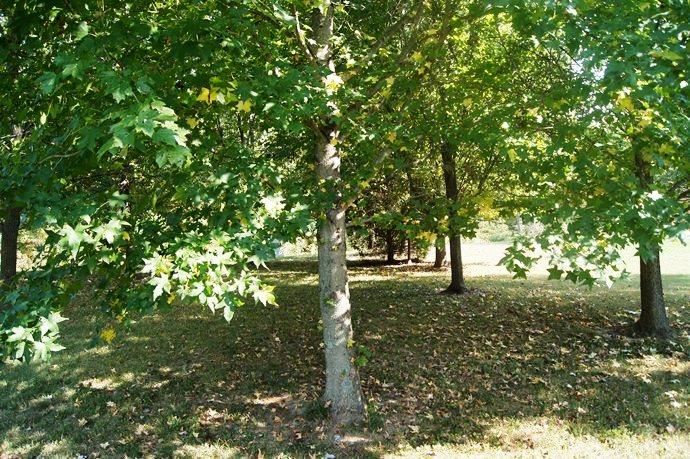 13900 Browning Rd, Evansville, IN 47725 photo 24
