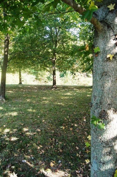 13900 Browning Rd, Evansville, IN 47725 photo 25