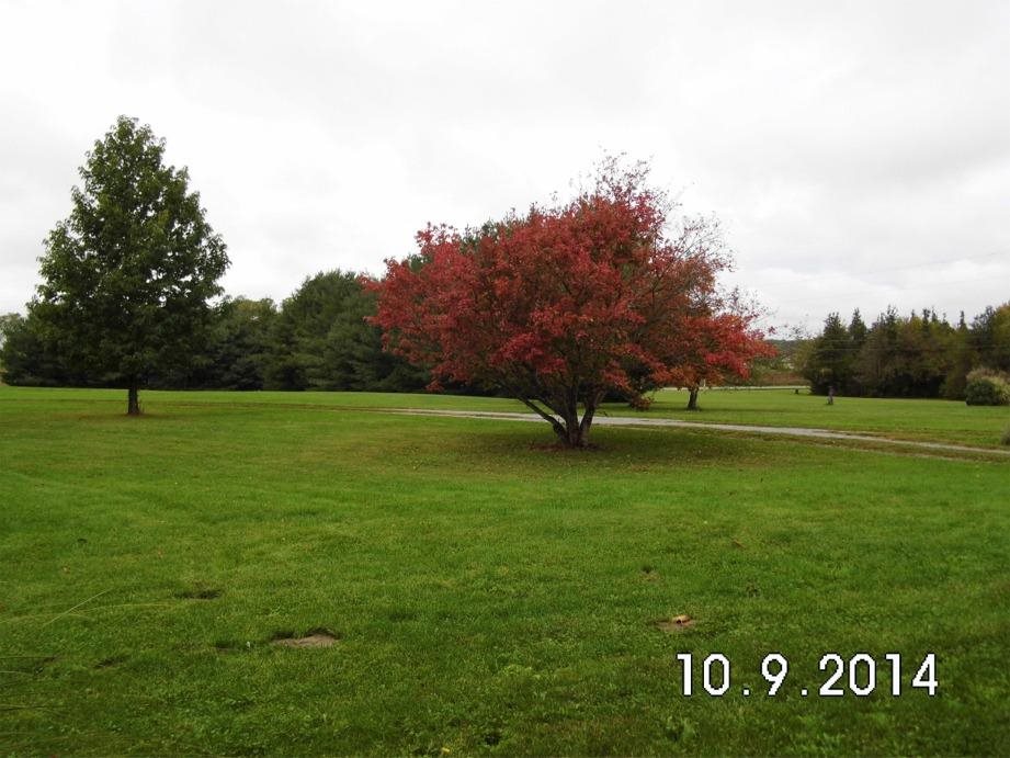 5925 S 900 W, Westpoint, IN 47992 photo 29