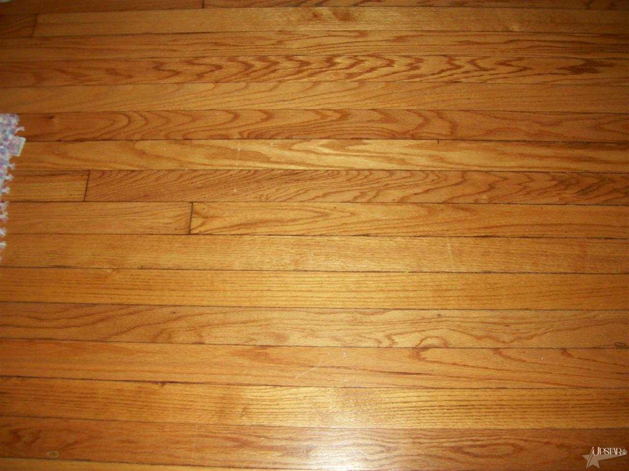 8670 Auburn Rd, Fort Wayne, IN 46825 photo 23