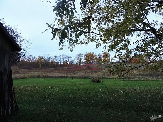 8340 E State Road 8, Avilla, IN 46710 photo 15