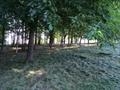 6244 Hatchett Mill Rd, Spottsville, KY 42458 photo 18