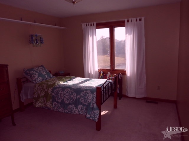 2519 Cobblestone Ln, Kendallville, IN 46755 photo 17