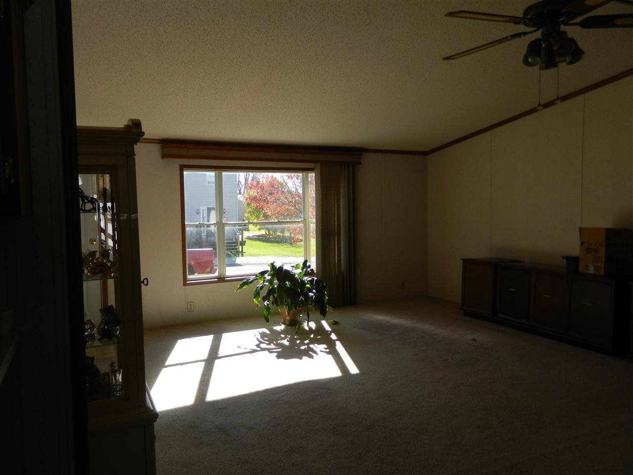 513 E Wiley, Marion, IN 46952 photo 3