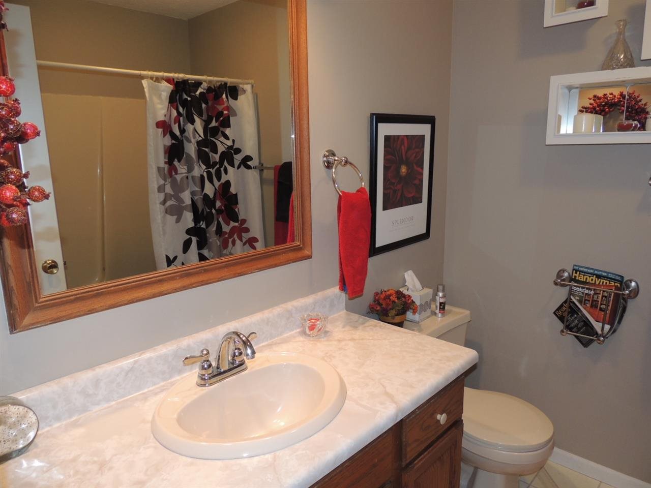 50 Meadow Ct, Rossville, IN 46065 photo 15