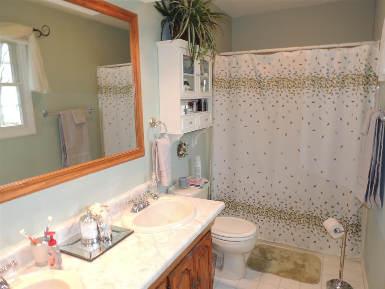 50 Meadow Ct, Rossville, IN 46065 photo 12