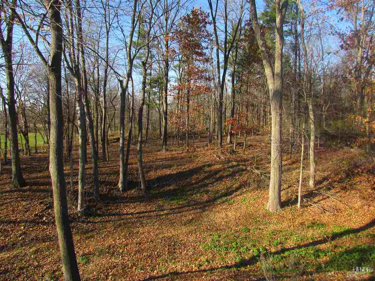 460 W Gates Rd, Columbia City, IN 46725 photo 29