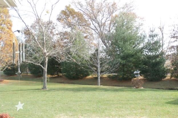 12125 Rosshire Dr, Evansville, IN 47725 photo 25