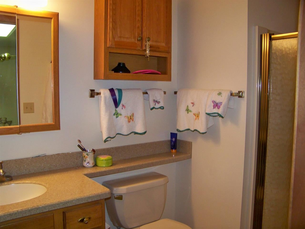 1621 Spring Brooke Dr, Goshen, IN 46528 photo 22