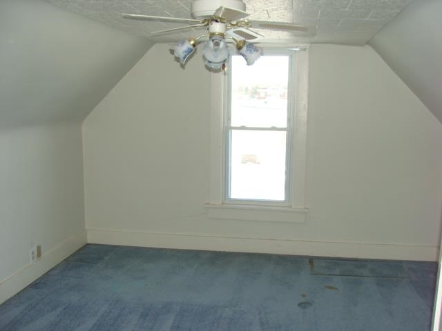 203 S Willow St, Flora, IN 46929 photo 12
