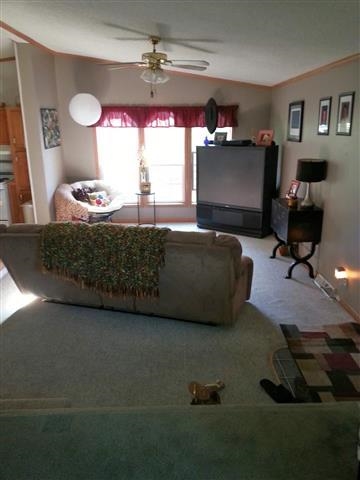 403 W Wildwood Dr, Syracuse, IN 46567 photo 6
