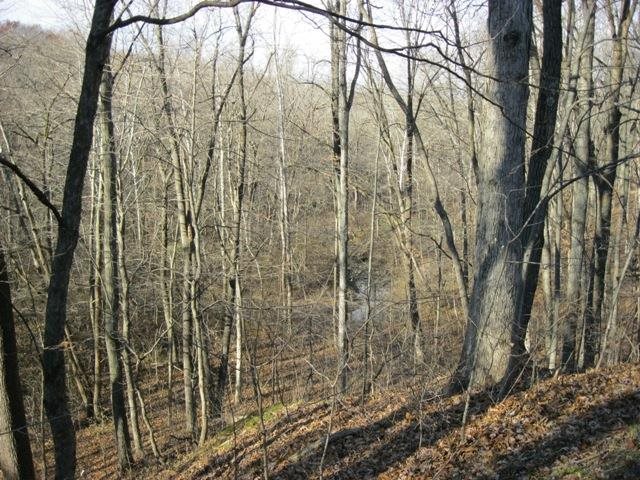 2652 N Buffalo Hill Rd, Otterbein, IN 47970 photo 3