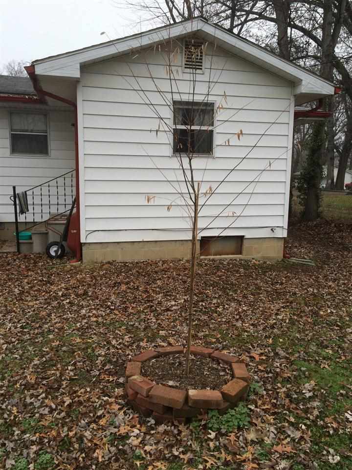 1754 Beckman Ave, Evansville, IN 47714 photo 4