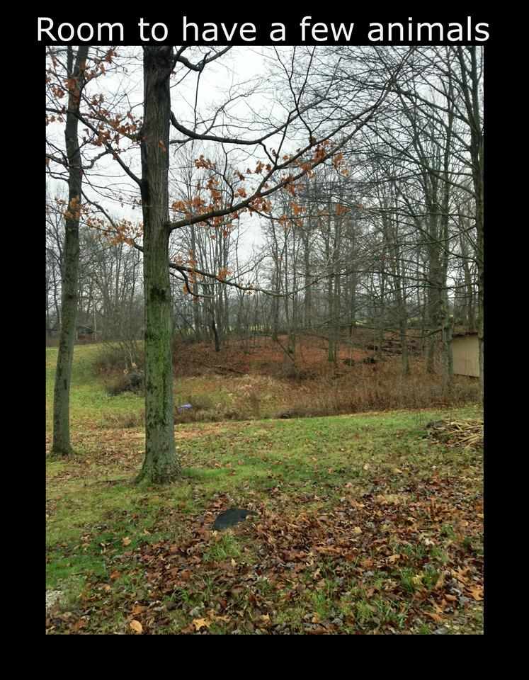 7770 N Barr Rd, Ellettsville, IN 47429 photo 12