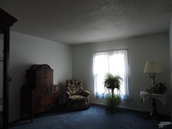 6024 S Appaloosa Dr, Columbia City, IN 46725 photo 17