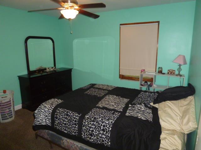 3512 Wildeman Rd, Mount Vernon, IN 47620 photo 12