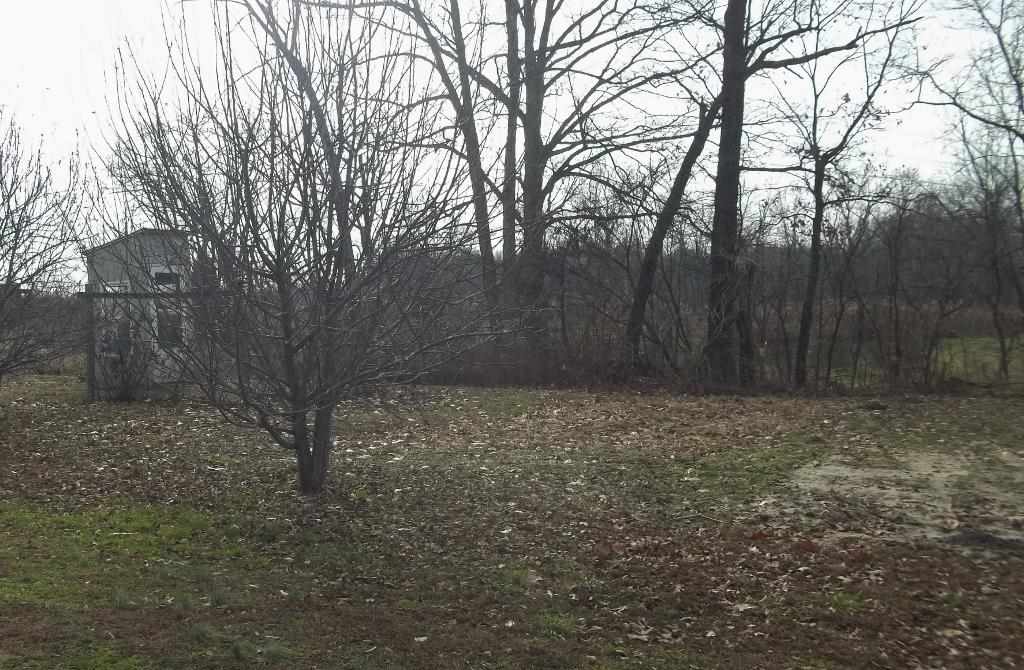3810 Peggy Hollow Rd, Shoals, IN 47581 photo 25