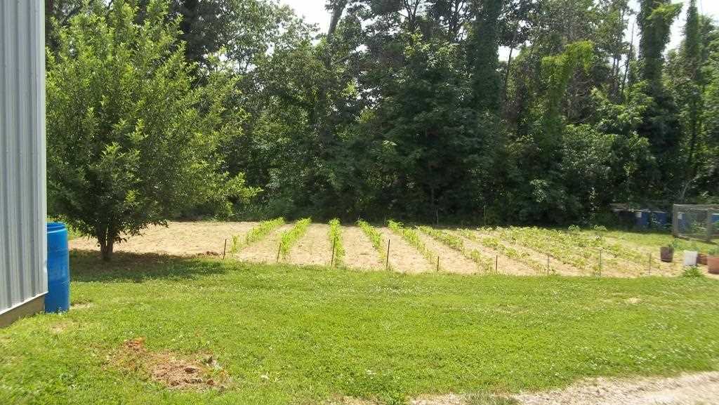 3810 Peggy Hollow Rd, Shoals, IN 47581 photo 28