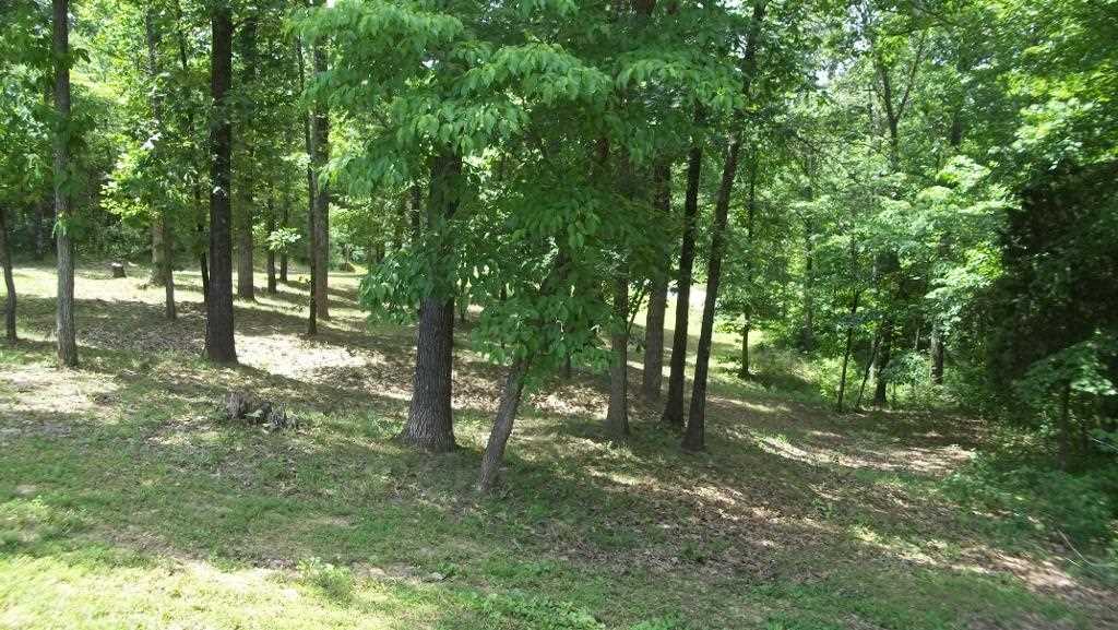 3810 Peggy Hollow Rd, Shoals, IN 47581 photo 18