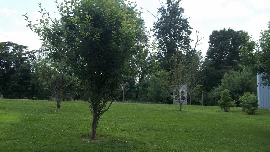 3810 Peggy Hollow Rd, Shoals, IN 47581 photo 27