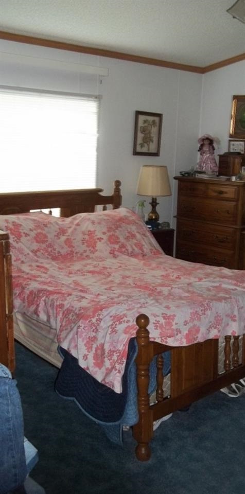 3810 Peggy Hollow Rd, Shoals, IN 47581 photo 13