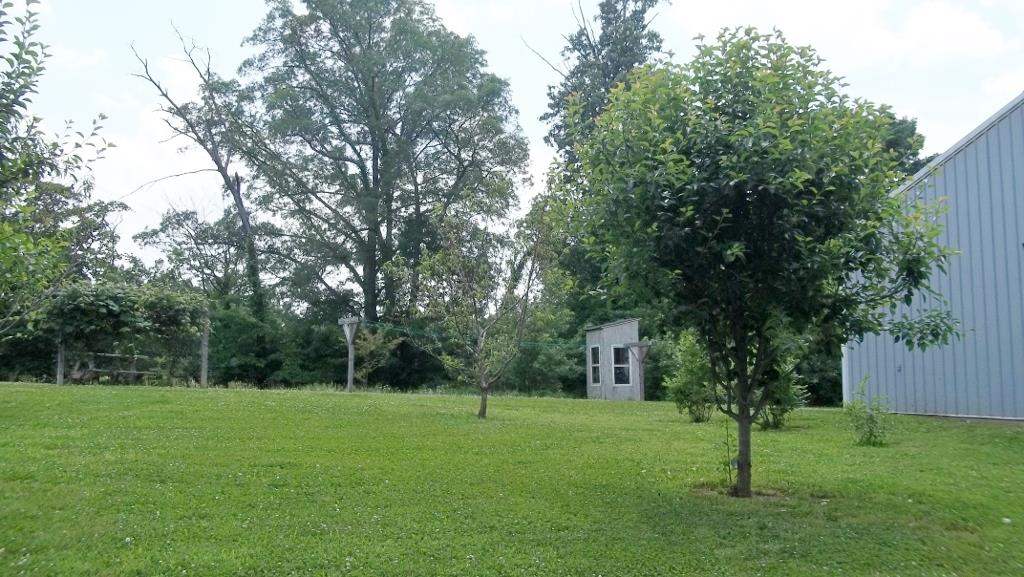 3810 Peggy Hollow Rd, Shoals, IN 47581 photo 22