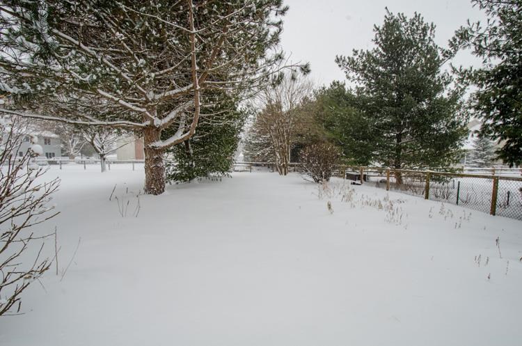 51555 Steeple Chase Ct, Granger, IN 46530 photo 30