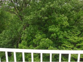 3701 E Barrington Dr #a303, Bloomington, IN 47408 photo 6
