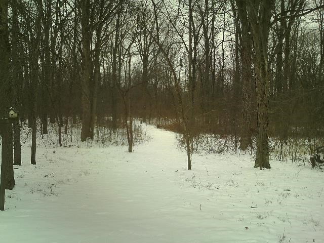 10852 E 600 S, Upland, IN 46989 photo 28