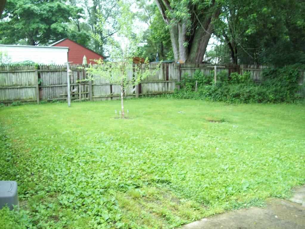 207 Home Ave, Elkhart, IN 46516 photo 17